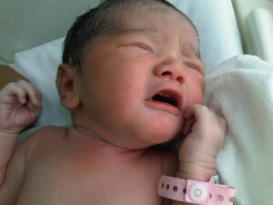 Alifa Feykani'am Panne