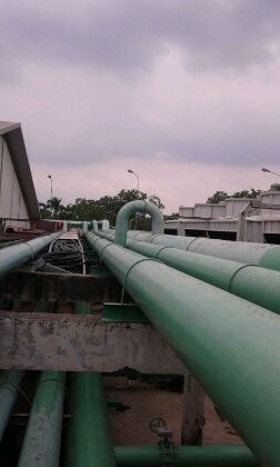 20120313_114217.jpg image