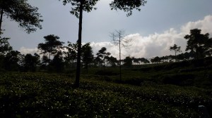 Wisata kepahiang