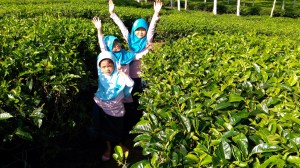 wp-image-999554174jpg.jpeg